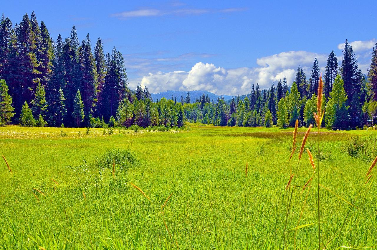 Leavenworth Camping Resort Tiny House Rudolf Εξωτερικό φωτογραφία